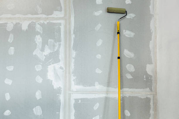 Best Asbestos and Lead Testing During Mold Inspection  in Hidden Valley, IN