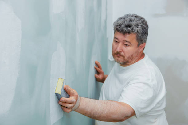 Best Basement Mold Removal  in Hidden Valley, IN