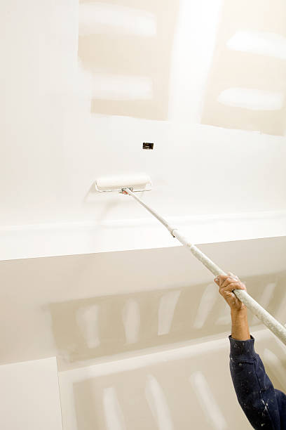 Best Attic Mold Removal  in Hidden Valley, IN